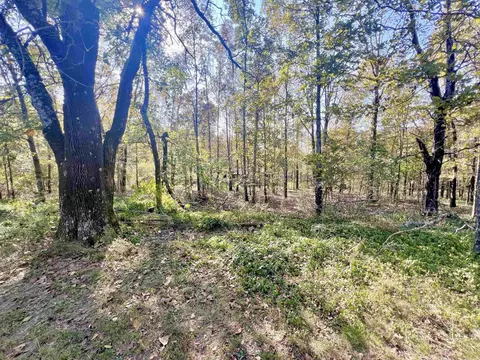 444 Blue Hole Rd, Beebe, AR 72012 photo 46