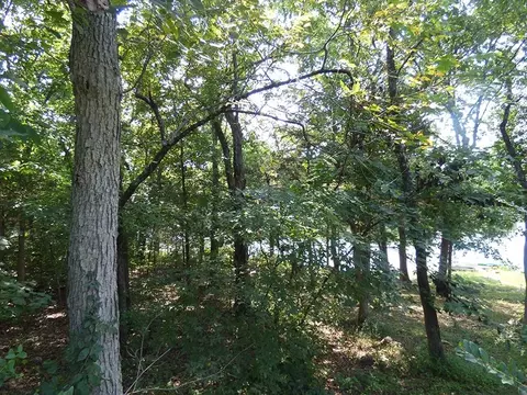 00 E Lakeshore Dr, Cherokee Village, AR 72529