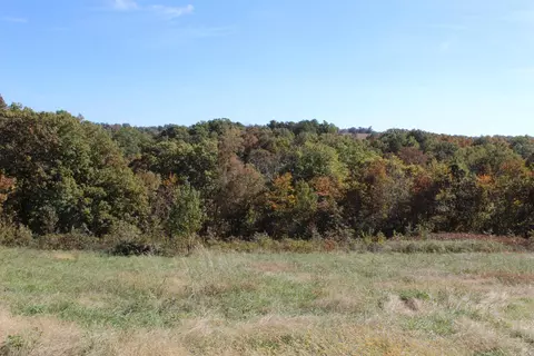 1041 Red Bluff Rd, Marshall, AR 72650 photo 20
