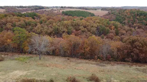 1041 Red Bluff Rd, Marshall, AR 72650 photo 9