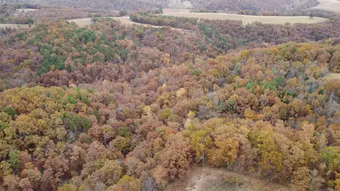 1041 Red Bluff Rd, Marshall, AR 72650 photo 10