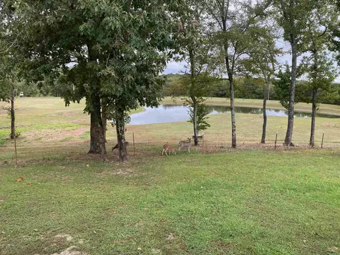 1065 Polk Rd 67, Mena, AR 71953 photo 5