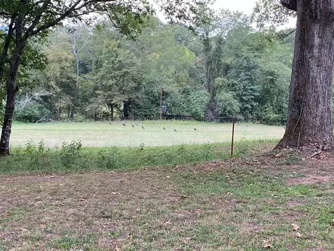 1065 Polk Rd 67, Mena, AR 71953 photo 3