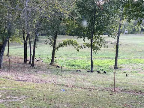 1065 Polk Rd 67, Mena, AR 71953 photo 4