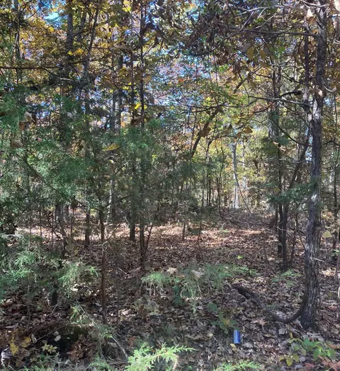 tbd Pinecrest Rd, Hardy, AR 72542 photo 3