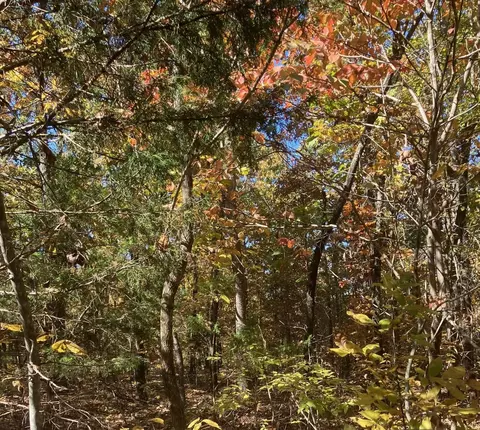 tbd Pinecrest Rd, Hardy, AR 72542