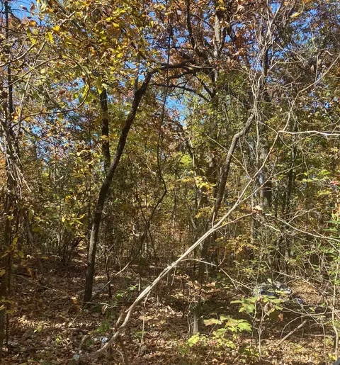tbd Pinecrest Rd, Hardy, AR 72542 photo 4