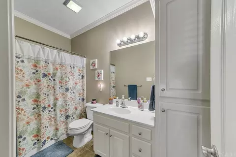 17 Berrypatch Cv, Cabot, AR 72023 photo 38