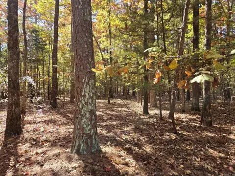 lot149 Grenada Cir, Fairfield Bay, AR 72088
