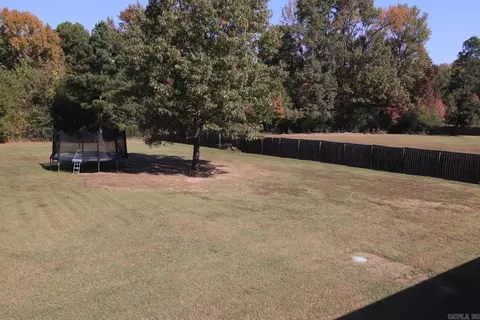 10 Cedar Brook Cv, Austin, AR 72007 photo 38