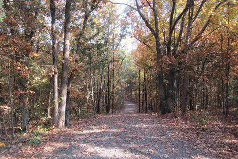 102 Silver Fox Ct, Romance, AR 72136 photo 3