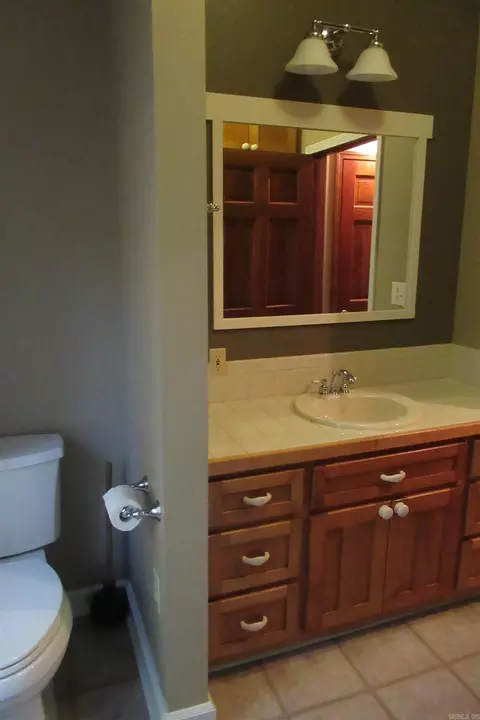 102 Silver Fox Ct, Romance, AR 72136 photo 33
