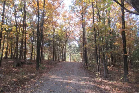 102 Silver Fox Ct, Romance, AR 72136 photo 4
