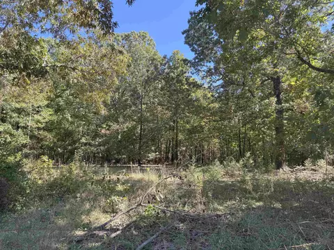 71 Cc Rd, Hardy, AR 72542 photo 17