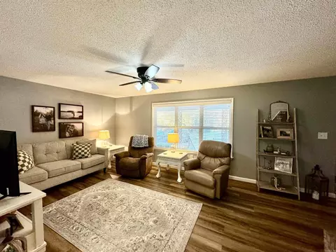 Living - 38 Harris St, Melbourne, AR 72556 photo 2 of 3