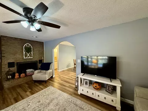Living - 38 Harris St, Melbourne, AR 72556 photo 3 of 3