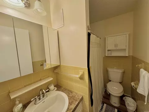 Bath - 38 Harris St, Melbourne, AR 72556 photo 2 of 2