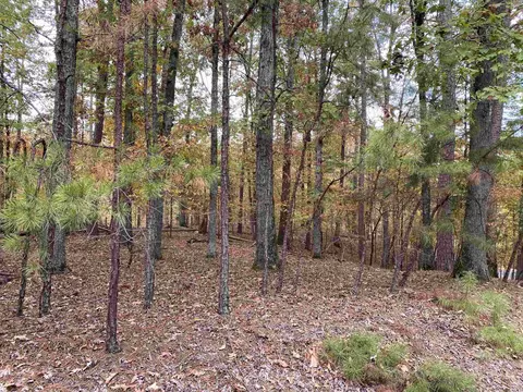 4 White Oak Dr, Mount Ida, AR 71957 photo 45
