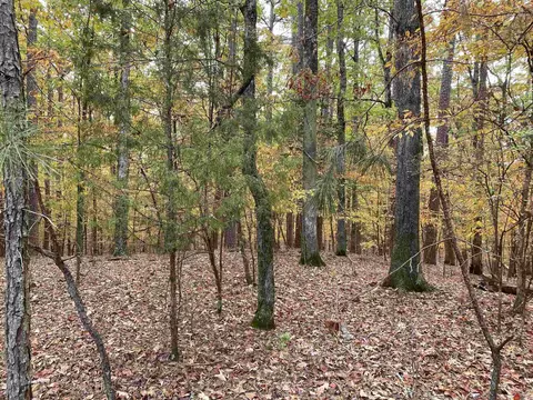 4 White Oak Dr, Mount Ida, AR 71957 photo 46