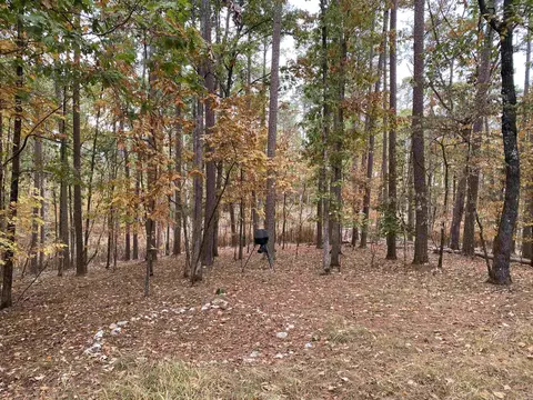 4 White Oak Dr, Mount Ida, AR 71957 photo 44