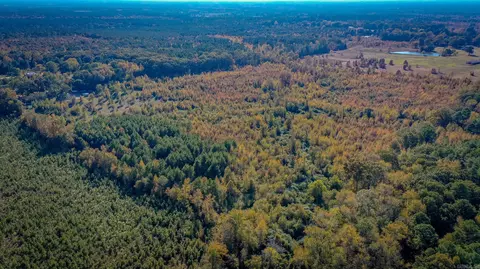 540 Wright Rd, Rison, AR 71665 photo 48
