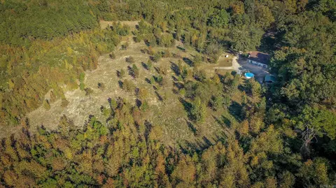 540 Wright Rd, Rison, AR 71665 photo 44