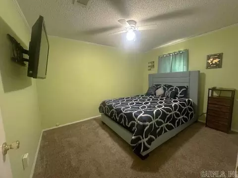 Bedroom - 20 Mt Elba Dr, Rison, AR 71665 photo 3 of 3