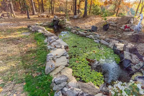 1674 Echowood Cir, Viola, AR 72583 photo 6