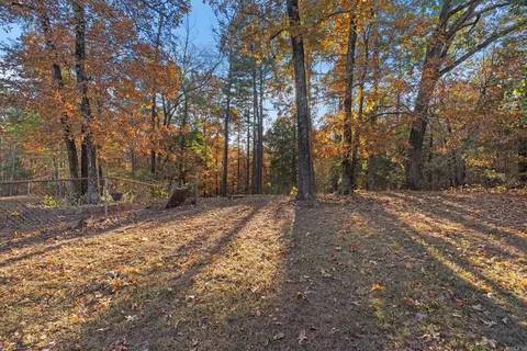 69 Concho Rd, Edgemont, AR 72044 photo 6
