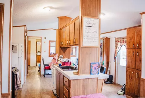6146 Rex Rd, Clinton, AR 72031 photo 7