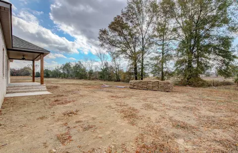 16 Dandelion Dr, Greenbrier, AR 72058 photo 42