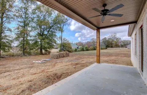 16 Dandelion Dr, Greenbrier, AR 72058 photo 38
