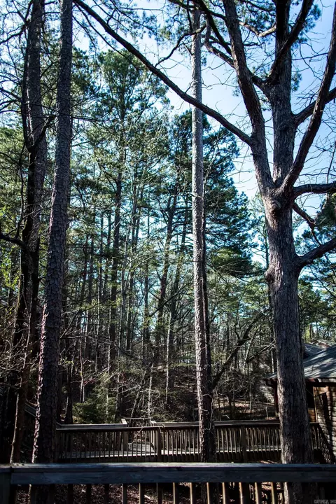 Other - 23 Pine Cv #A, Mount Ida, AR 71957 photo 3 of 3