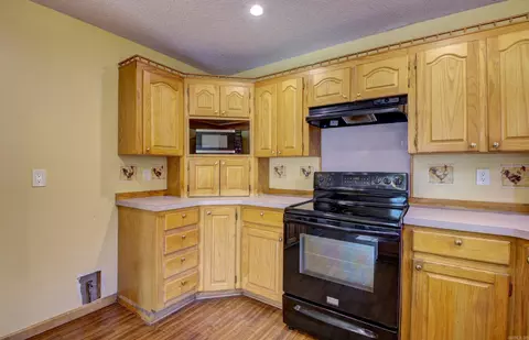 17695 Mt Ida Rd, Paron, AR 72122 photo 16