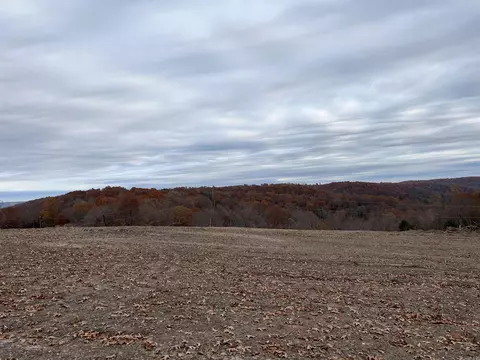 37 64 Ac Dubuque Rd, Omaha, AR 72662 photo 2