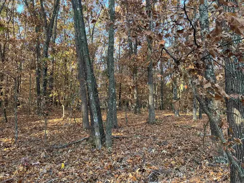 37 64 Ac Dubuque Rd, Omaha, AR 72662 photo 10