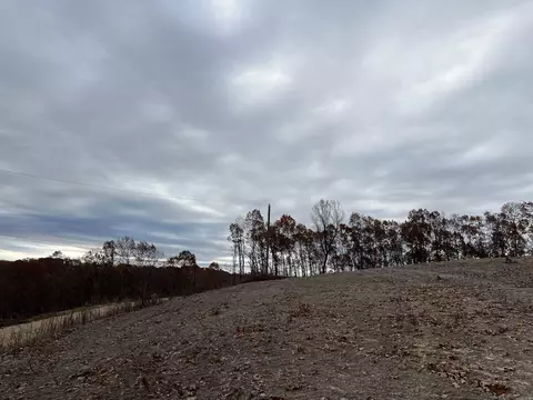 37 64 Ac Dubuque Rd, Omaha, AR 72662 photo 7