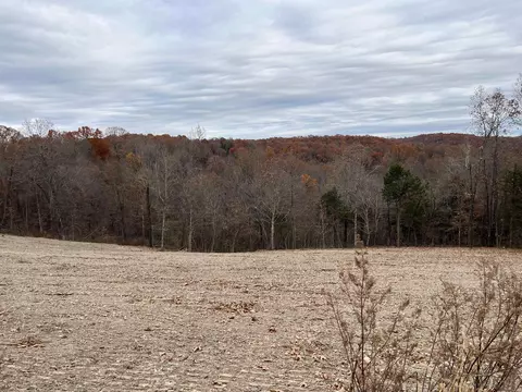 37 64 Ac Dubuque Rd, Omaha, AR 72662 photo 6