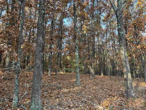 37 64 Ac Dubuque Rd, Omaha, AR 72662 photo 11