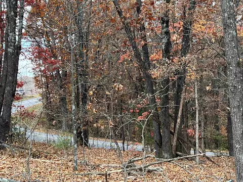 37 64 Ac Dubuque Rd, Omaha, AR 72662 photo 9