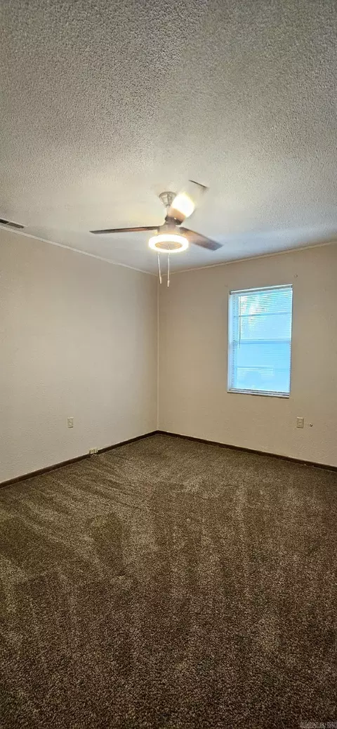 203 NE 2nd St, Corning, AR 72422 photo 12