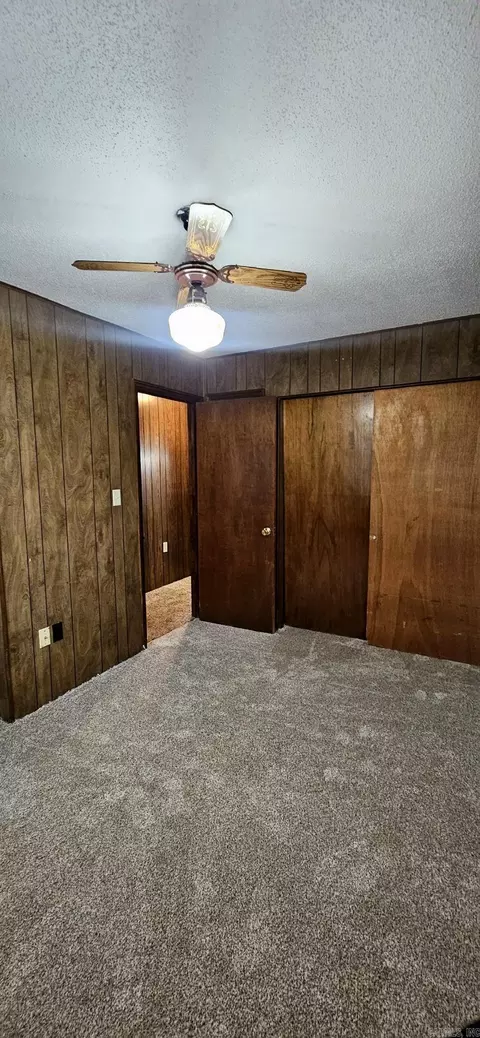 203 NE 2nd St, Corning, AR 72422 photo 16
