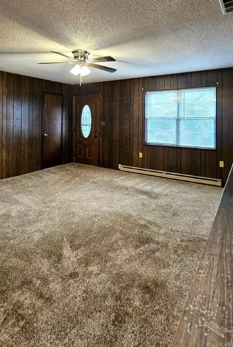 203 NE 2nd St, Corning, AR 72422 photo 3