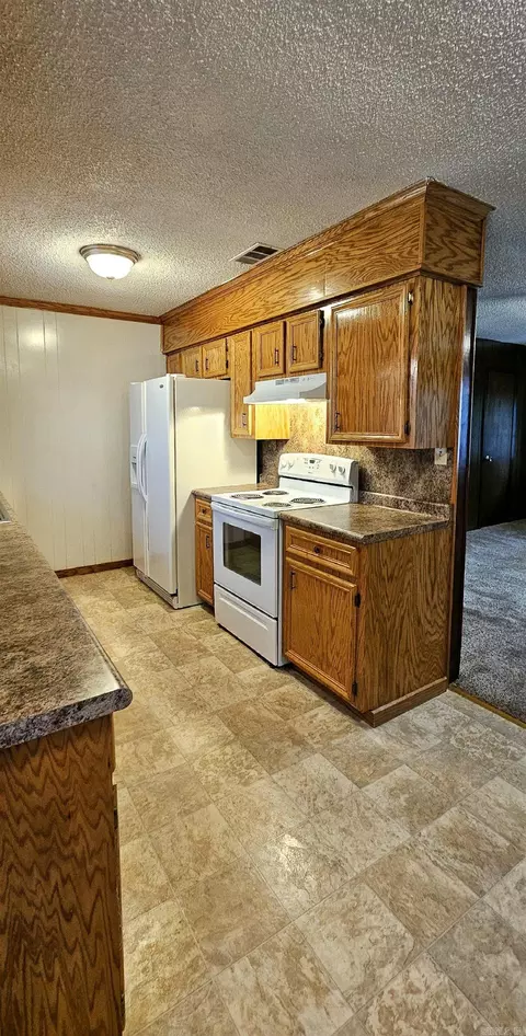 203 NE 2nd St, Corning, AR 72422 photo 6