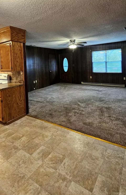 203 NE 2nd St, Corning, AR 72422 photo 8