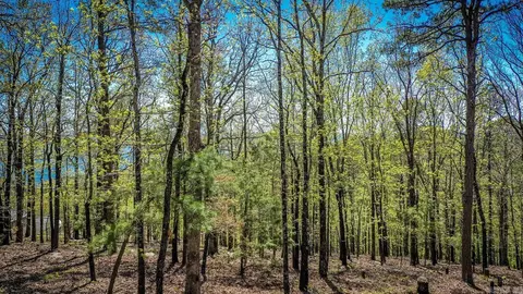 121 Eagle Ridge Trce, Fairfield Bay, AR 72088