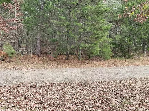 15 Quiet Cv, Edgemont, AR 72044 photo 35