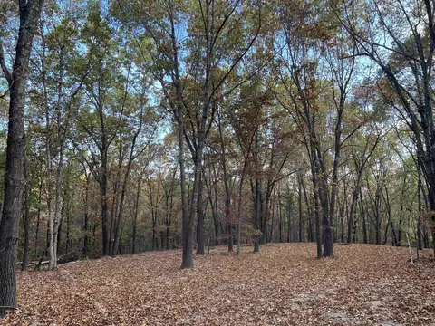 16 33 Ac Jackson Rdg, Omaha, AR 72662