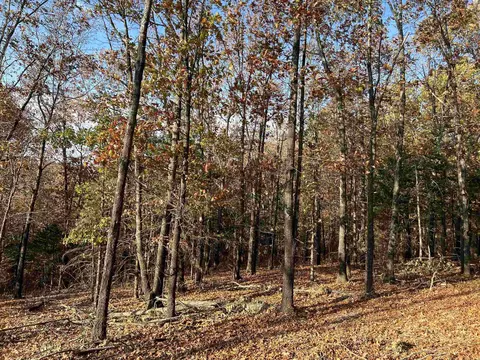 11 00 Ac Jackson Rdg, Omaha, AR 72662 photo 6