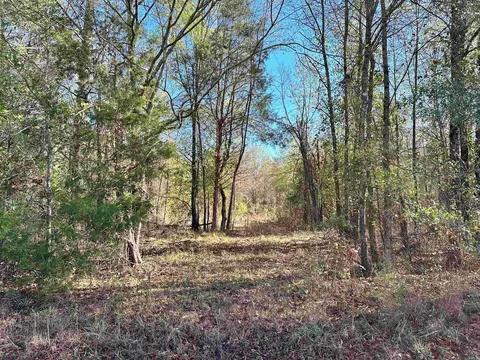 0 Peaceful Valley Rd, Dover, AR 72837 photo 21